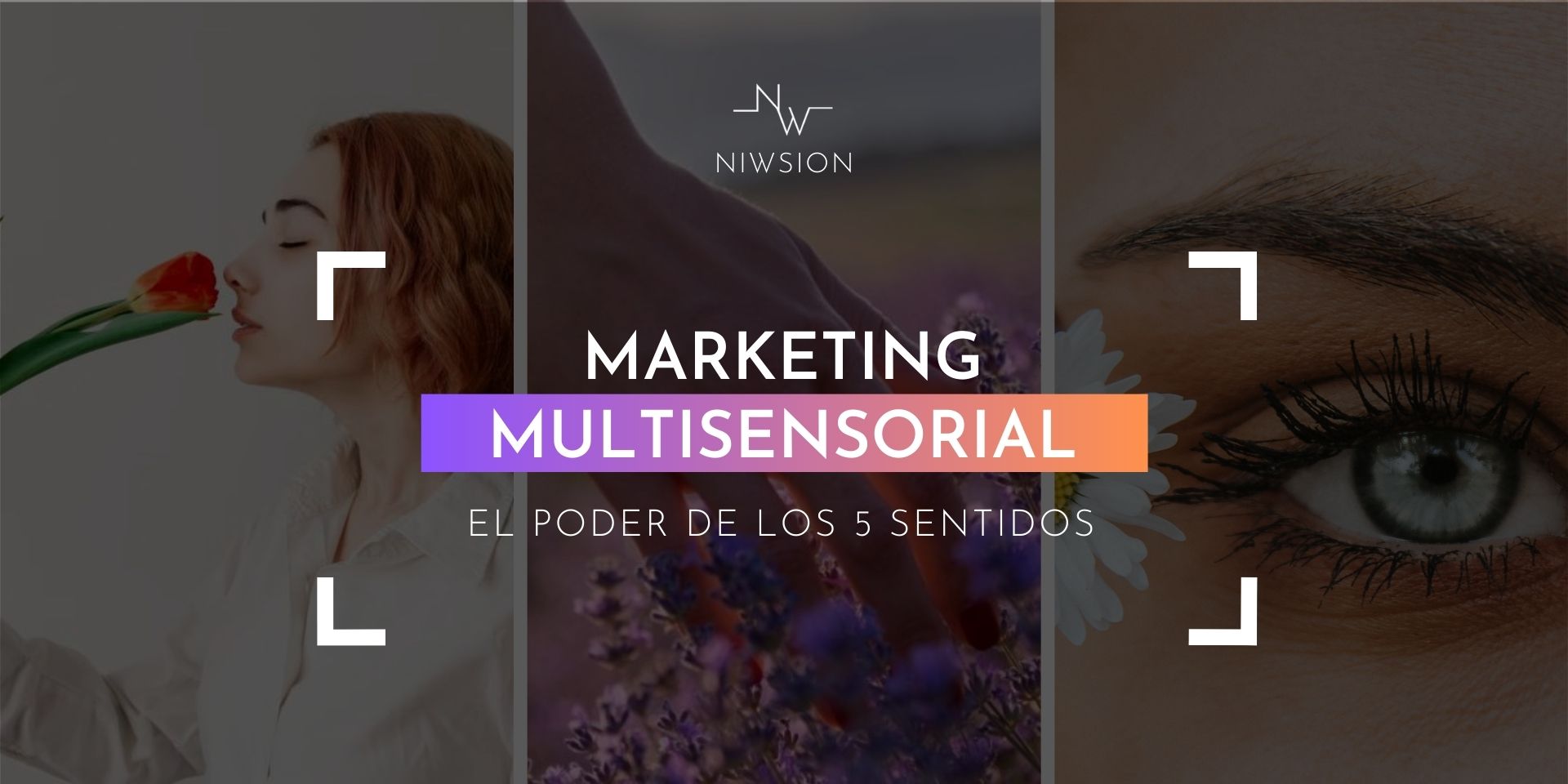 Marketing-multisensorial-Niwsion-blog